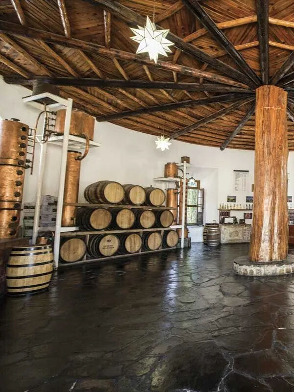 Museo del Vino · Casa Madero