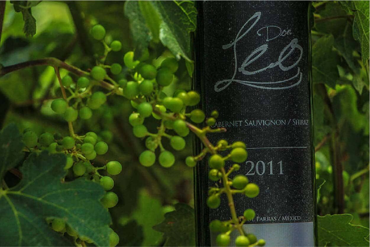 Viñedos Don Leo